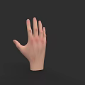 Realistic Human Hand Model With Light Skin And Red Patches On Fingers