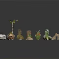 Various Wood and Stone Decorative Items With Small Plants and Natural Logs