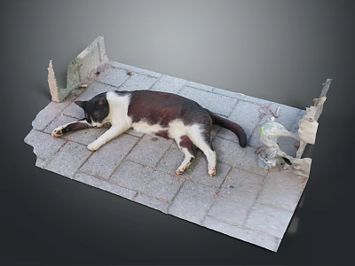 Black and White Cat Lying on Brick Pavement with Broken Cement Edges and Plastic Bottle 3d model