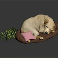 Yellow Labrador Retriever Lying Comfortably On Brown Dog Bed With Pink Pillow And Green Plant