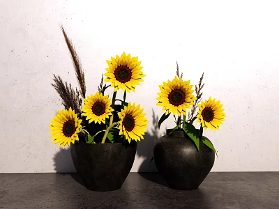Black Vases with Sunflowers and Dried Grass on Gray Countertop White Wall 3d model