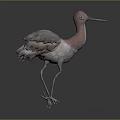 Modern Birds 3d model