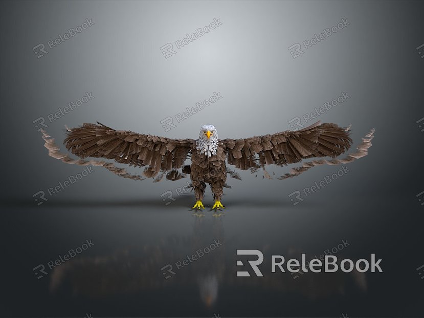 Eagle Large Eagle Owl Raptor Falcon Bird Bird Bird Animal Game Animal model