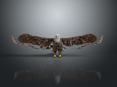 Eagle Large Eagle Owl Raptor Falcon Bird Animal Game Animal 3d model