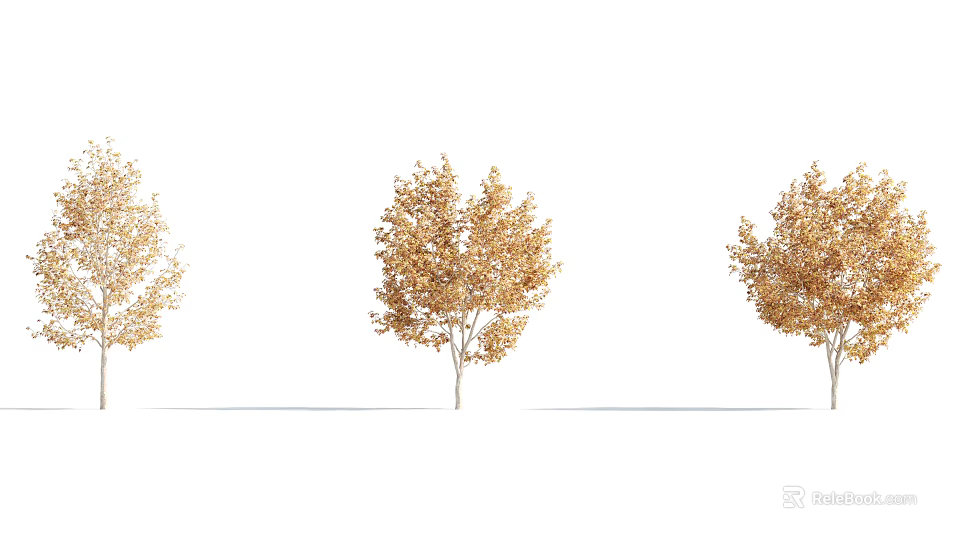 Three Arbor Trees With Golden Autumn Leaves On White Background 3d model