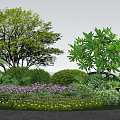 Vibrant Colorful Flowers and Lush Green Shrubs in Natural Garden Landscape with Trees and Stones