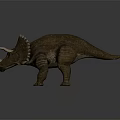 Realistic Triceratops Standing Model With Brown Skin Three Horns And Spiked Back On Gray Background
