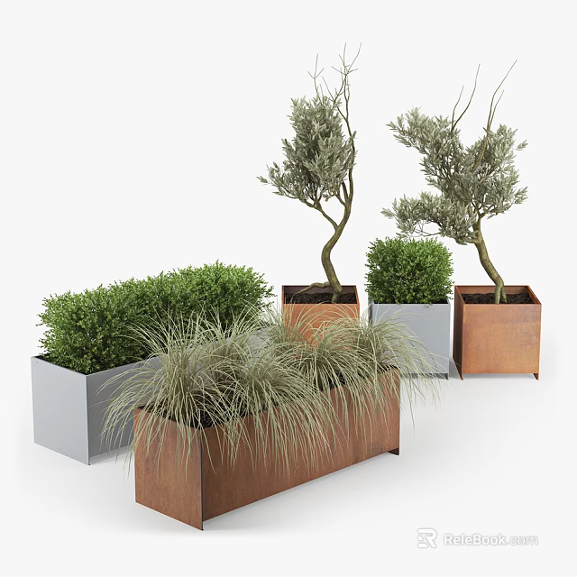 Rustic Metal Garden Planters With Olive Trees Bushes And Ornamental Grasses 3d model 
