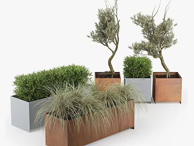 Rustic Metal Garden Planters With Olive Trees Bushes And Ornamental Grasses 3d model
