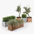 Rustic Metal Garden Planters With Olive Trees Bushes And Ornamental Grasses