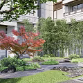 Residential Landscape Design With Red Maple Tree Bamboo Grove And Stone Pathway