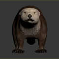 Beaver with brown body and light colored head in standing posture on gray background 3d model