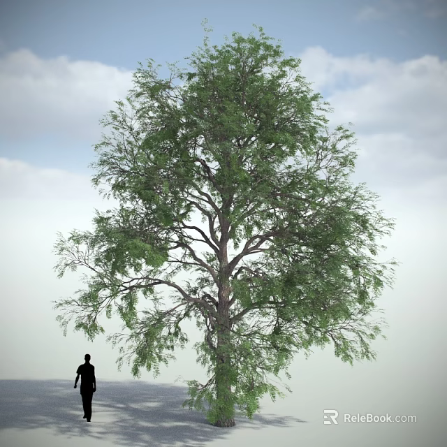Tall Leafy Tree with Green Foliage against Blue Sky White Clouds and Person Silhouette Below 3d model 