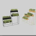 Bonsai Potted Plants On Modern Multi Tiered Metal Stands With Black And Gold Frames