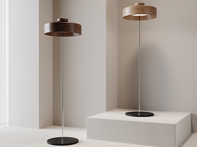 Modern floor lamp model