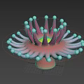 Vibrant Pink Sea Anemone With White Tipped Tentacles And Yellow Center