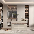 Modern Walk-in Closet With Glass Doors Hanging Clothes Drawer Chest Plant Shoes And Rug