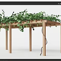 Wooden Pergola Structure With Green Vines Climbing Overhead For Outdoor Garden