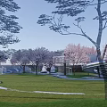 Kids Play Area With Cherry Blossom Trees Green Lawn And Modern Building Design