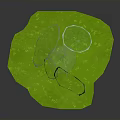 Green Plant With Large Green Leaves And White Bulbous Root On Green Leaf Base