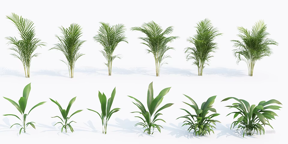 Collection Of Various Green Shrubs With Different Leaf Shapes On 3d model