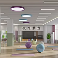 Spacious Yoga Fitness Studio With Colorful Exercise Balls And Yoga Mats