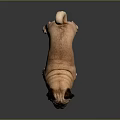 Tan Colored Pug Dog Standing On Dark Background With Shiny Floor 3d model