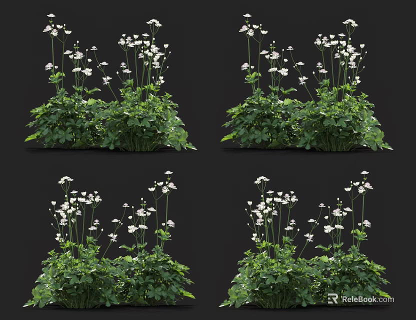 Green Leafy Plants With Small White Flowers In Clustered Growth Design 3d model 