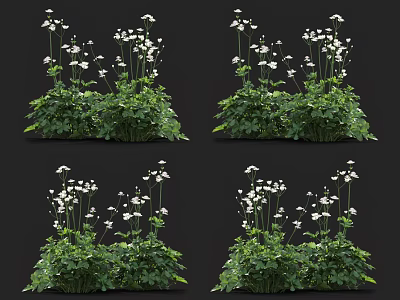 Green Leafy Plants With Small White Flowers In Clustered Growth Design 3d model