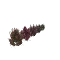 Various Types Of Colorful Garden Shrubs With Red Green Foliage And Landscaping