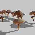 Multiple Brown Mushrooms Displaying Various Sizes And Natural Cap Stem Structures 3d model