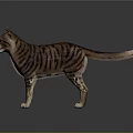 Realistic Brown And Black Striped Cat Standing With Yellow Eyes On Gray Background