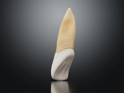 Abstract Organ Sculpture With Hair Like Yellowish And White Textured Structure 3d model