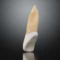 Abstract Organ Sculpture With Hair Like Yellowish And White Textured Structure