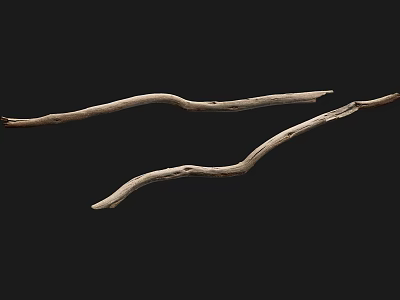 Trees, branches, dry wood, dead wood, stumps, old wood, old wood, dry branches, broken branches, wood 3d model