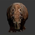 A Brownish Rhinoceros with Textured Skin in Walking Posture Against White Background and Reflective Ground