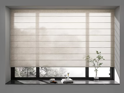 Neutral Textured Roman Blinds Enhancing Natural Light With Window Sill Plant And Cups 3d model
