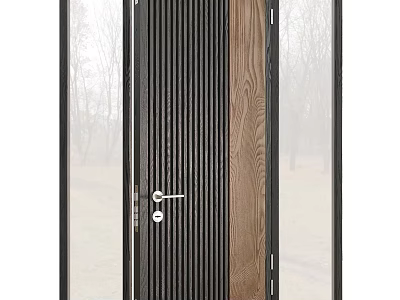 Modern Swing Door With Black Vertical Slats Wooden Panel And Glass Side Panels 3d model