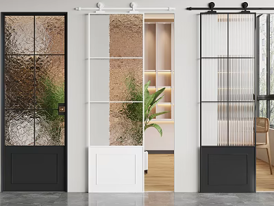 Modern Interior Doors With Glass Panel Designs And Sliding Track Black White Frames Home Decor 3d model