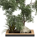Lush Green Arbor With Dense Foliage And Surrounding Small Plants On Rock Base