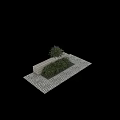 Lush Green Leafy Shrub With Dense Foliage And Natural Shape For Garden Landscaping