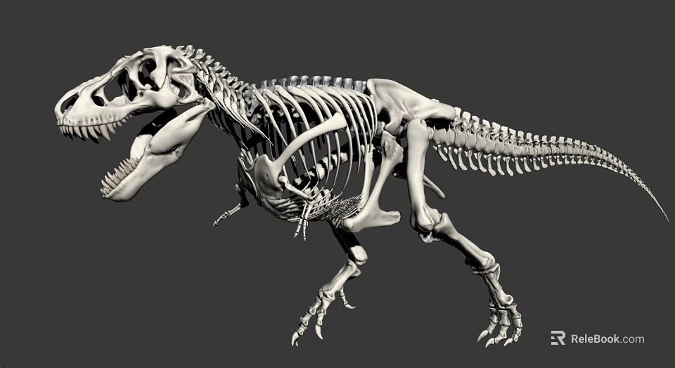 Medical Device 3D Reconstructed Dinosaur Skeleton Model For Research 3d model 