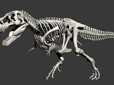 Medical Device 3D Reconstructed Dinosaur Skeleton Model For Research 3d model