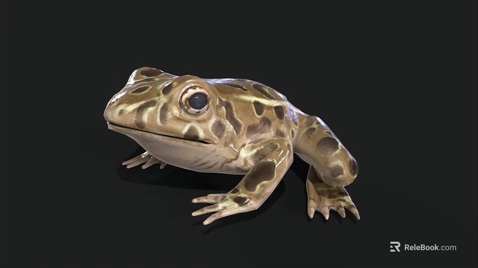 Realistic 3D Frog Model With Brown And Yellow Patterns And Large Eyes On Black Background 3d model 