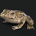 Realistic 3D Frog Model With Brown And Yellow Patterns And Large Eyes On Black Background