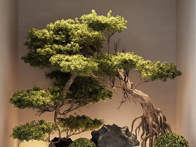 Serene Garden Ornament Featuring Bonsai Tree With Lush Green Foliage Exposed Roots And Decorative Rocks 3d model