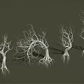 Leafless Trees with Exposed Trunks and Roots Arranged in a Row Against Dark Background 3d model