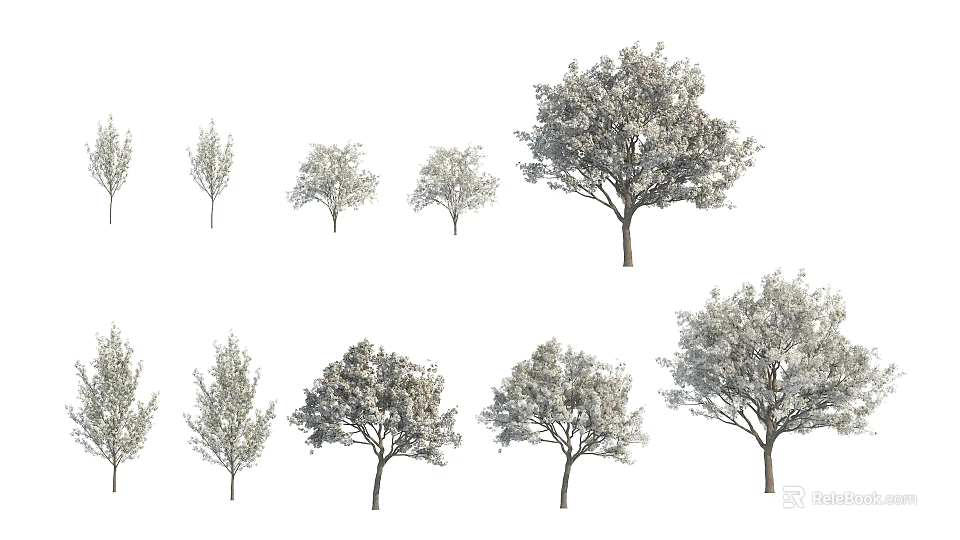 Various Arbor Trees in Collection Displaying Different Sizes and Foliage Types 3d model