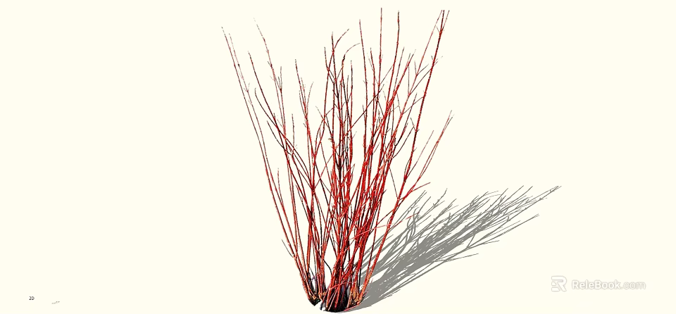 Red Branched Shrub With Slender Stems And Natural Shadow 3d model