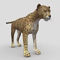 Realistic 3D Cheetah Model With Spotted Fur And Standing Posture 3d model